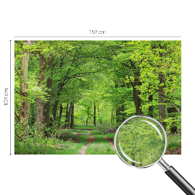 Samolepilna fototapeta z motivom gozdne poti