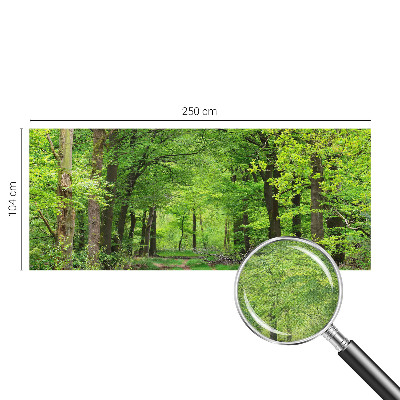 Samolepilna fototapeta z motivom gozdne poti