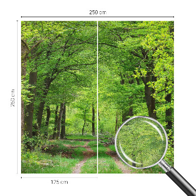 Samolepilna fototapeta z motivom gozdne poti