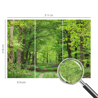 Samolepilna fototapeta z motivom gozdne poti