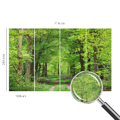 Samolepilna fototapeta z motivom gozdne poti