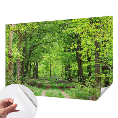 Samolepilna fototapeta z motivom gozdne poti
