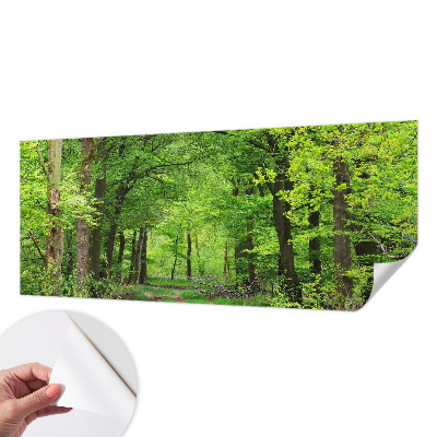 Samolepilna fototapeta z motivom gozdne poti