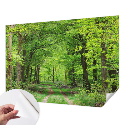 Samolepilna fototapeta z motivom gozdne poti