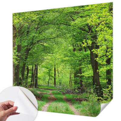Samolepilna fototapeta z motivom gozdne poti