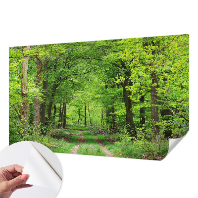Samolepilna fototapeta z motivom gozdne poti