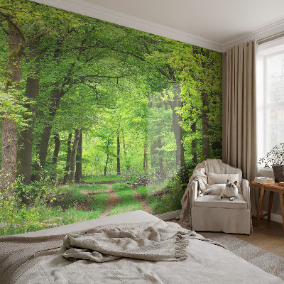 Samolepilna fototapeta z motivom gozdne poti