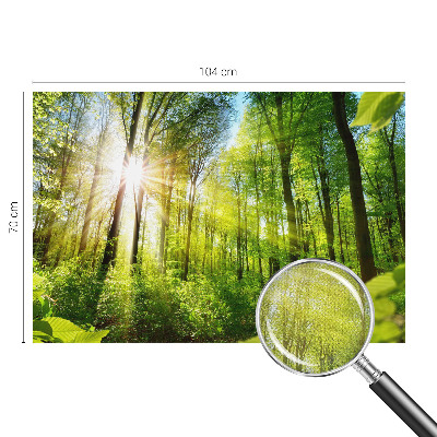 Samolepilna fototapeta za dnevno sobo z motivom gozdne svetlobe