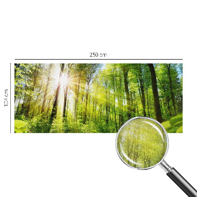 Samolepilna fototapeta za dnevno sobo z motivom gozdne svetlobe
