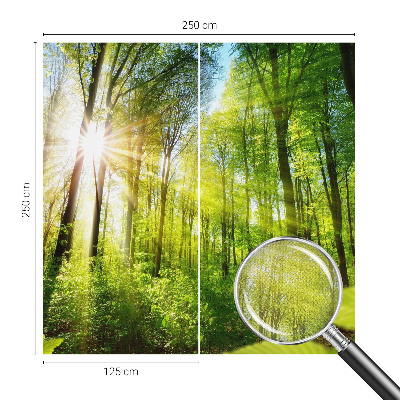 Samolepilna fototapeta za dnevno sobo z motivom gozdne svetlobe