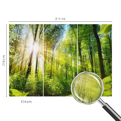 Samolepilna fototapeta za dnevno sobo z motivom gozdne svetlobe