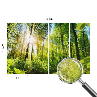 Samolepilna fototapeta za dnevno sobo z motivom gozdne svetlobe