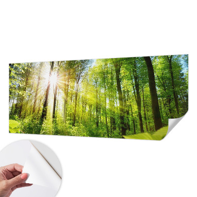 Samolepilna fototapeta za dnevno sobo z motivom gozdne svetlobe
