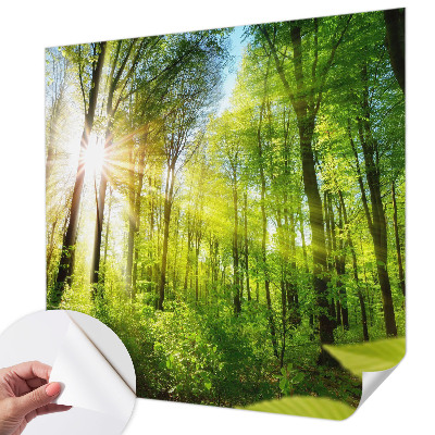 Samolepilna fototapeta za dnevno sobo z motivom gozdne svetlobe