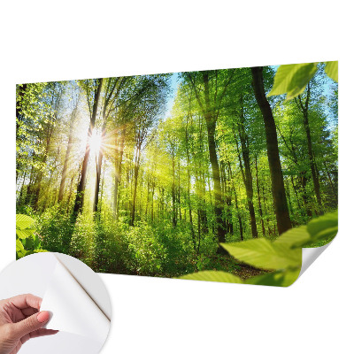 Samolepilna fototapeta za dnevno sobo z motivom gozdne svetlobe