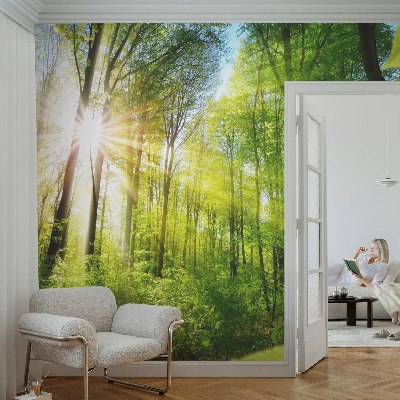 Samolepilna fototapeta za dnevno sobo z motivom gozdne svetlobe