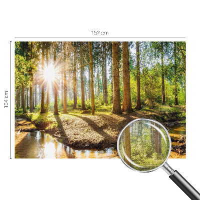 3D fototapeta z motivom gozdne idile