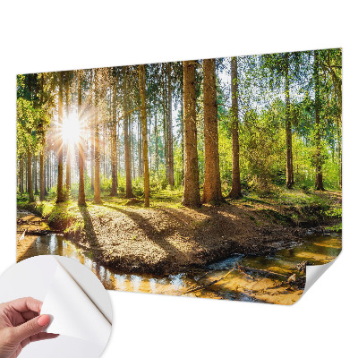 3D fototapeta z motivom gozdne idile