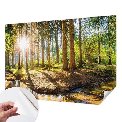 3D fototapeta z motivom gozdne idile
