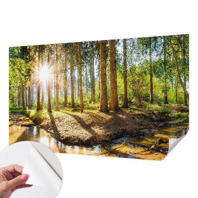 3D fototapeta z motivom gozdne idile