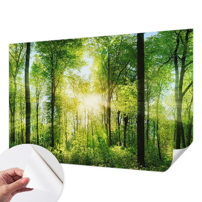 Samolepilna fototapeta z vzorcem gozdne harmonije