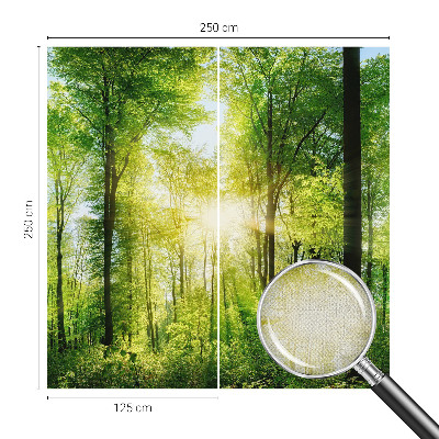 Samolepilna fototapeta z vzorcem gozdne harmonije
