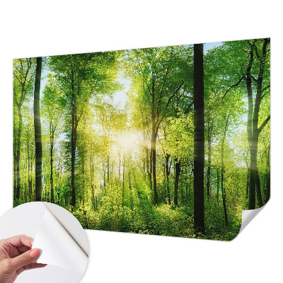 Samolepilna fototapeta z vzorcem gozdne harmonije