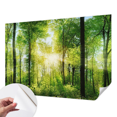 Samolepilna fototapeta Gozdna harmonija