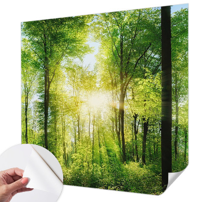 Samolepilna fototapeta z vzorcem gozdne harmonije