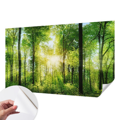 Samolepilna fototapeta Gozdna harmonija