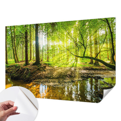 Fototapeta za otroško sobo z zeleno pokrajino