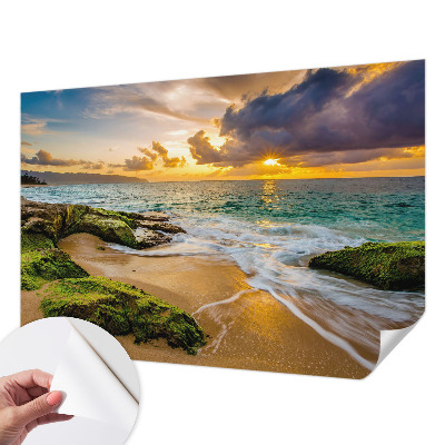 Otroška fototapeta z motivom pomorske harmonije