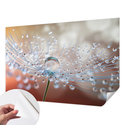 Fototapeta za otroško sobo z motivom kapljice na regratu