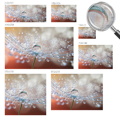 Fototapeta za otroško sobo Kapljica na regratu