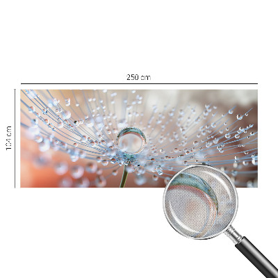 Fototapeta za otroško sobo Kapljica na regratu