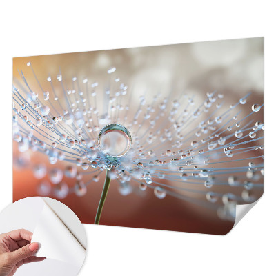 Fototapeta za otroško sobo z motivom kapljice na regratu
