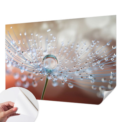 Fototapeta za otroško sobo z motivom kapljice na regratu
