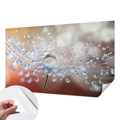 Fototapeta za otroško sobo z motivom kapljice na regratu