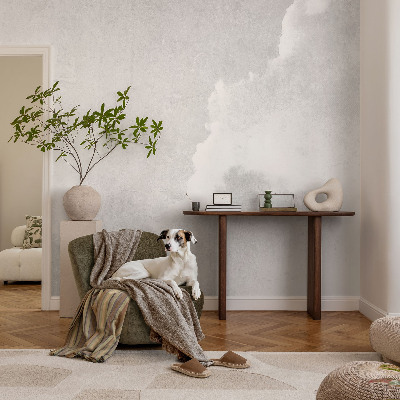 3D fototapeta Subtilni oblaki