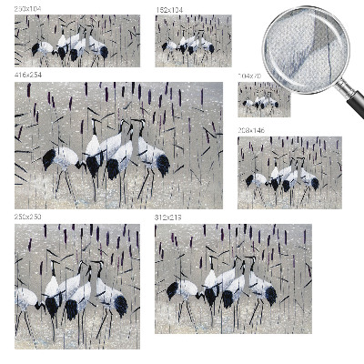 Samolepilna fototapeta za dnevno sobo Harmonični žerjavi