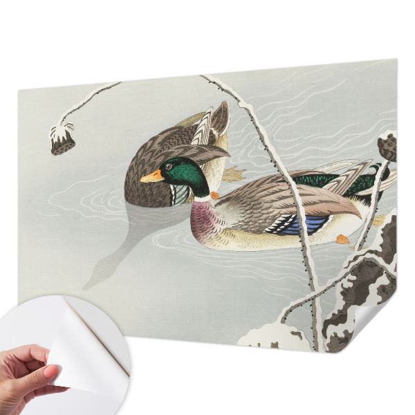 3D fototapeta z motivom mirnih rac