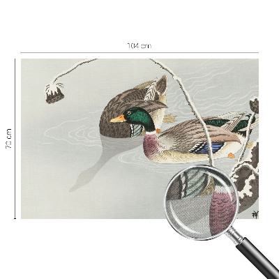 3D fototapeta z motivom mirnih rac