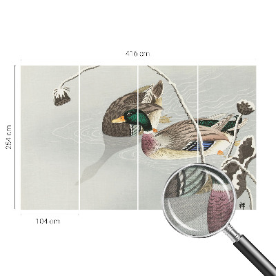 3D fototapeta z motivom mirnih rac