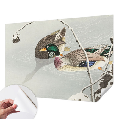 3D fototapeta z motivom mirnih rac