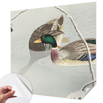 3D fototapeta z motivom mirnih rac