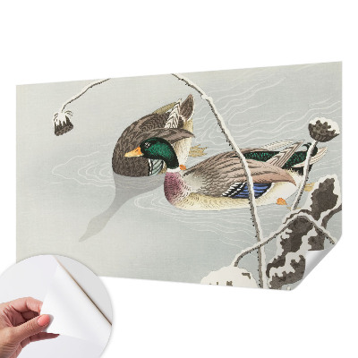 3D fototapeta z motivom mirnih rac