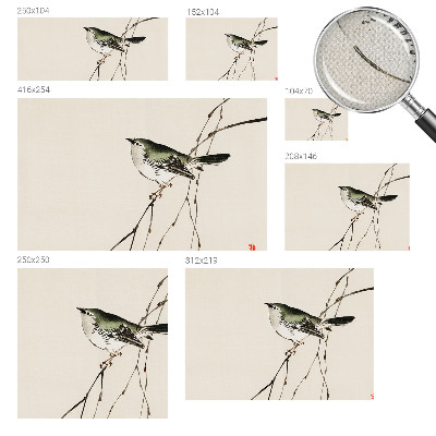 Samolepilna fototapeta Harmonična ptica