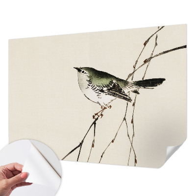 Samolepilna fototapeta Harmonična ptica