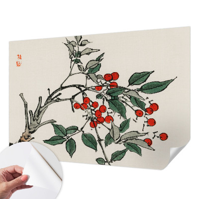 Samolepilna fototapeta za dnevno sobo Vejica jagod