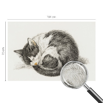 3D fototapeta Čudovita mucka